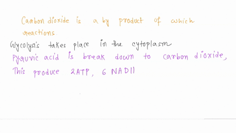 carbon-dioxide-is-a-by-product-of-which-of-the-following-a-glycolysis-b-the-krebs-cycle-the-electron-transport-chain-and-chemiosmosis-both-and-b-all-of-the-above-00778