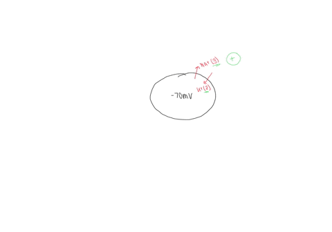 for-a-neuron-with-an-initial-membrane-potential-at-70-mvan-increase-in-the-movement-of-potassium-ions-out-of-that-neurons-cytoplasm-would-result-in-the-hyperpolarization-of-the-neuron-replac-89895