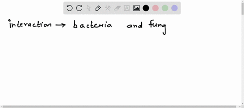describe-an-interaction-that-occurs-between-bacteria-and-fungi-in-our-bodies-to-our-benefit-80714