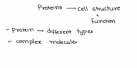 explain-how-proteins-are-largely-responsible-for-cell-structure-and-function-74463