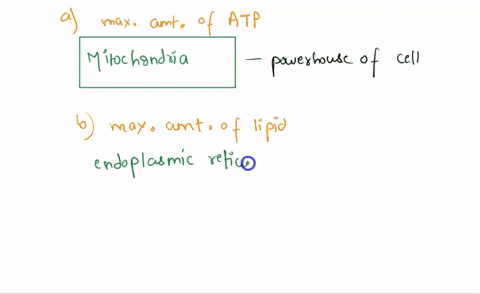 a-the-majority-of-the-cells-atp-is-produced-in-lysosomes-the-cytosol-the-endoplasmic-reticulum-perioxosomes-the-nucleus-the-golgi-apparatus-the-mitochondria-or-endosomes-b-the-majority-of-th-98279