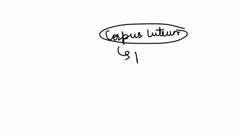 in-the-luteal-phase-of-the-ovarian-cycle-the-ruptured-follicle-is-converted-to-a-corpus-luteum-whic-produces-progesterone-testosterone-and-estrogen-true-false