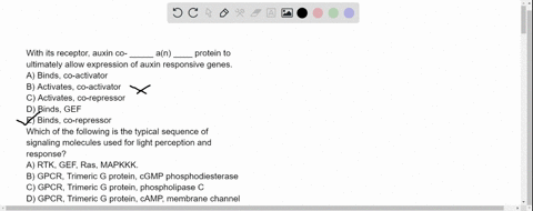 with-its-receptor-auxin-co-_____-an-____-protein-to-ultimately-allow-expression-of-auxin-responsive-genes-a-binds-co-activator-b-activates-co-activator-c-activates-co-repressor-d-binds-gef-e-27546