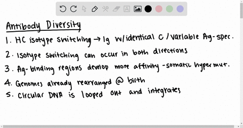 select-the-correct-statement-concerning-generation-of-antibody-diversity-group-of-answer-choices-heavy-chain-isotype-switching-produces-immunoglobulins-with-identical-c-regions-but-different-78876
