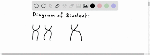 3) Draw a metaphase chromosome and label its centromere and...