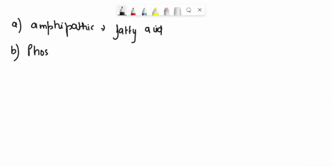 the-amphipathic-nature-of-phospholipids-is-a-determined-by-the-fatty-acid-composition-b-important-in-57256