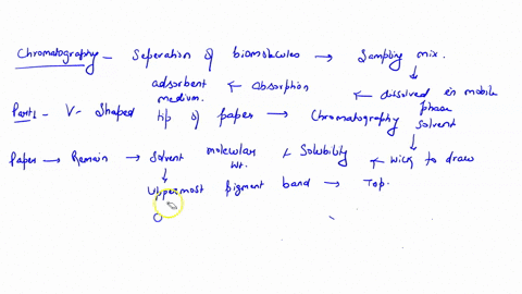 thin-layer-chromatography-biological-molecules-can-be-separated-by-using-chromatographic-techniques-the-diagram-belw-show-the-separation-of-sereral-spinach-leaf-pigments-by-paper-chromatogra-25809