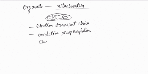 most-of-the-atp-made-during-cellular-resperation-is-produce-in-which-organelle-46167