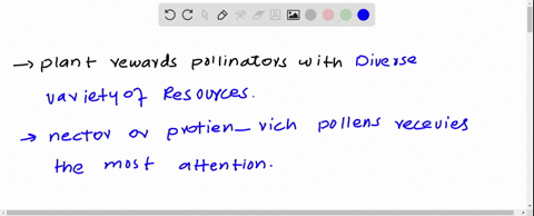 what-rewards-do-plants-give-their-pollinators-48104