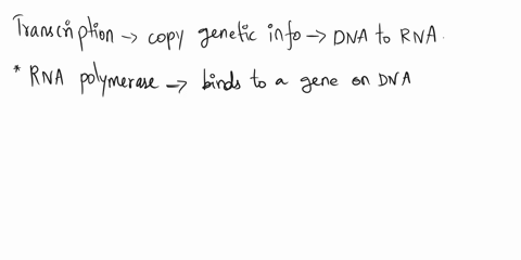 question-7-2pt5-transcription-is-best-described-as-the-synthesis-of-dna-from-rna-the-dna-directed-synthesis-of-mrna-the-creation-of-proteins-from-dna-the-spllcing-of-exons-to-produce-an-mrna-52896