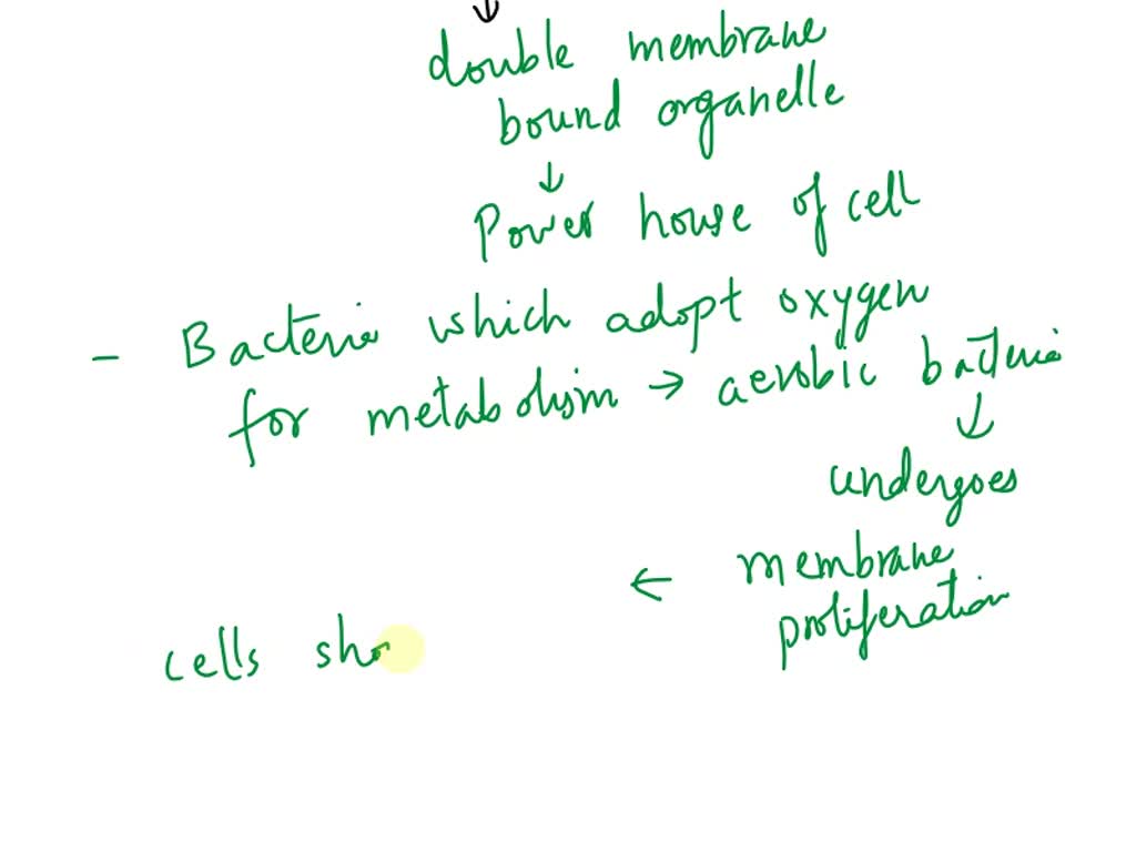 SOLVED: mitochondria most likely evolved from a. aerobic bacteria b ...