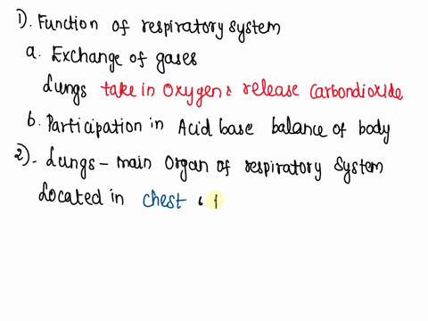 the-respiratory-system-describe-the-two-functions-of-the-respiratory-system-note-taking-in-oxygenreleasing-carbon-dioxide-is-one-function-explain-the-structure-and-function-of-the-lungs-desc-98088