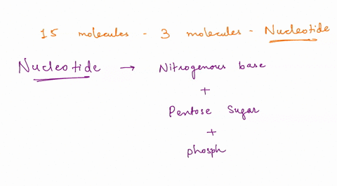 the-following-question-is-based-on-the-15-molecules-illustrated-in-the-figure-04-40l-c4oh-0-04-94-84-l-1-0y-1pol-oxoh-select-the-three-components-that-would-together-make-up-nucleotide-89461