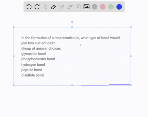 in-the-formation-of-a-macromolecule-what-type-of-bond-would-join-two-nucleotides-group-of-answer-choices-glycosidic-bond-phosphodiester-bond-hydrogen-bond-peptide-bond-disulfide-bond-02976