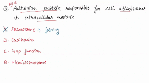 these-adhesion-proteins-are-responsible-for-cell-attachment-to-extracellular-matrix-desmosomes-cadherins-gap-junctions-hemidesmosomes-41242