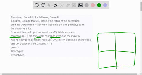directions-complete-the-following-punnett-squares-be-sure-that-you-include-the-ratios-of-the-genotypes-and-the-words-used-to-describe-those-alleles-and-phenotypes-of-the-characteristics-1-in-01599