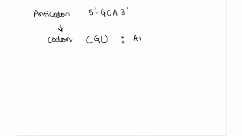 an-anticodon-on-a-trna-has-the-sequence-5-gca3-section-152-a-what-amino-acid-is-carried-by-this-trna-b-what-would-be-the-effect-if-the-g-in-the-anticodon-were-mutated-to-a-u-31173