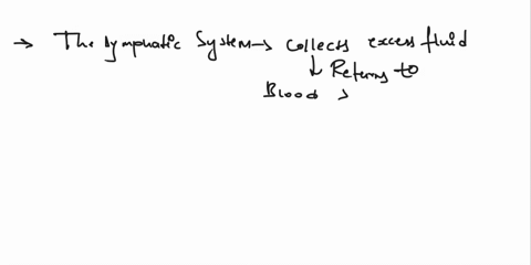 question-11-efferent-lymphatic-vessels-transport-unfiltered-lymph-o-true-ofalse-89588