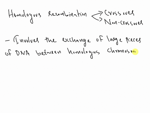 homologous-recombination-during-meiosis-can-result-in-either-crossover-or-non-crossover-events-please-indicate-which-of-the-following-is-a-property-or-event-in-either-crossovers-non-crossove-78774