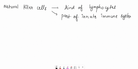 natural-killer-cells-are-a-kind-of-lymphocyte-activated-by-cytokines-part-of-the-innate-immune-system-related-to-t-cells-68426