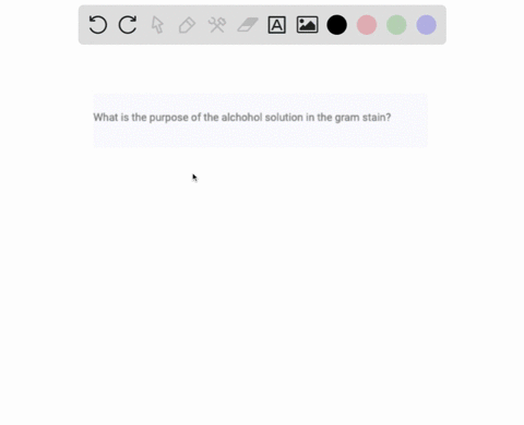 what-is-the-purpose-of-the-alchohol-solution-in-the-gram-stain-37144