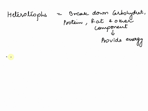 when-a-heterotroph-takes-in-food-only-a-small-percentage-of-the-energy-in-that-food-is-used-for-gr-3-20674