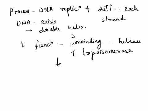 1-summarize-the-process-of-dna-replication-and-outline-the-difference-between-how-each-strand-replicatesexplain-the-process-of-dna-replication25-points-94551