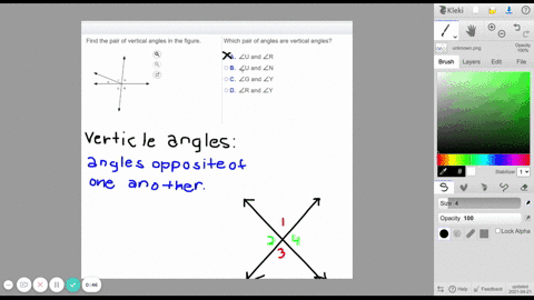 find-the-pair-of-vertical-angles-in-the-figure