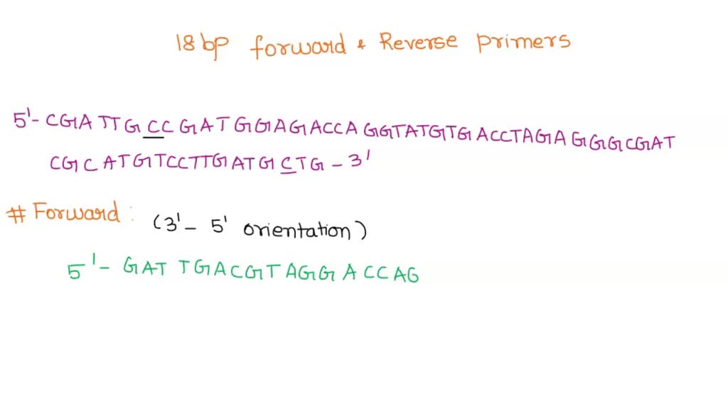 SOLVED: For the DNA sequence below, design 18 bp forward and reverse ...