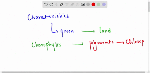 what-characteristics-of-green-algae-have-led-scientists-to-conclude-that-this-group-includes-the-ancestors-of-land-plants-most-likely-the-charophytes-06535