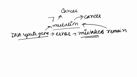 why-do-mutations-associated-with-cancer-almost-always-occur-sequentially-instead-of-simultaneously-each-mutation-increases-the-cellular-growth-rate-allowing-more-cells-to-have-higher-chance-93312