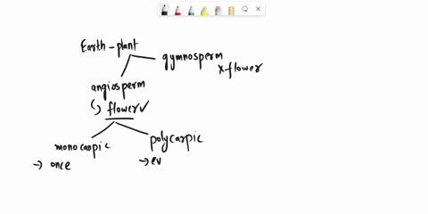 plants-that-flower-once-in-their-lifetime-are-known-as-________-a-monoecious-b-dioecious-c-polycarpi-04866