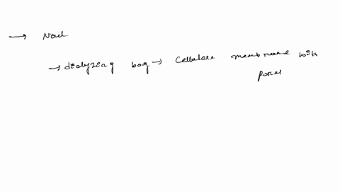 review-constants-periodic-table-part-a-each-of-the-following-is-placed-in-a-dialyzing-bag-and-the-bag-is-then-immersed-in-distilled-water-which-substances-will-be-found-outside-the-bag-check-57302