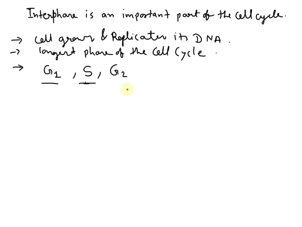 SOLVED: Explain why the S-phase in interphase is so important to ...