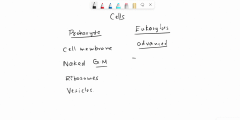 which-structures-occur-only-in-eukaryotic-cells-select-all-that-apply-a-endoplasmic-reticulum-b-golgi-bodies-c-ribosomes-d-vesicles-93028