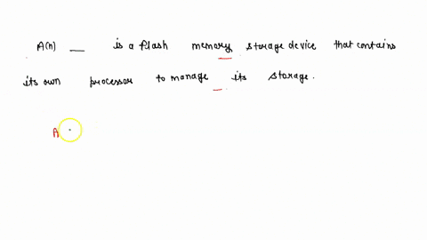 an-______-is-a-flash-memory-storage-device-that-contains-its-own-processor-to-manage-its-storage-74052
