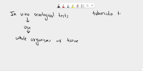 an-example-of-an-in-vivo-serological-test-is-a-indirect-immunofl-uorescence-b-radioimmunoassay-c-tuberculin-test-d-complement-fi-xation-95285