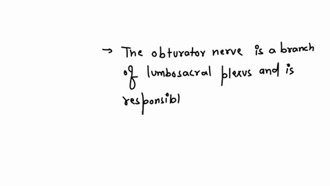 a-50-year-old-man-undergoes-surgical-transection-of-the-obturator-nerve-for-unbalanced-muscle-spasm-affecting-the-hip-which-of-the-following-muscles-is-most-likely-to-be-paralyzed-by-this-procedure-a