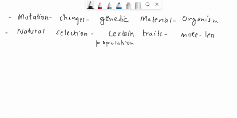 what-are-considered-to-be-the-drivers-of-evolution-agents-of-evolutionary-change-45837