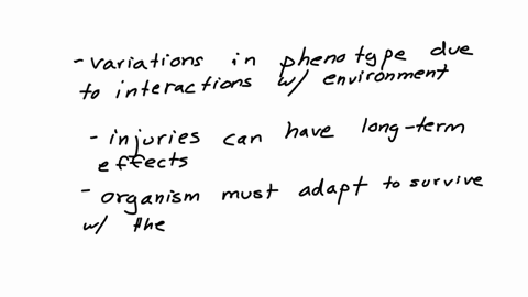 bdescribe-a-way-an-injury-can-lead-to-health-issues-that-result-in-environmental-caused-variation