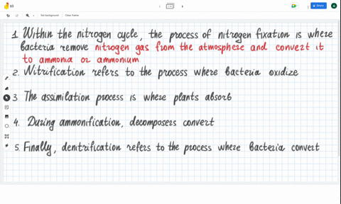 select-the-drop-down-to-complete-each-sentence-1-within-the-nitrogen-cycle-the-process-of-nitrogen-fixation-is-where-bacteria-remove-click-to-select-2-nitrification-refers-to-the-process-whe-58593