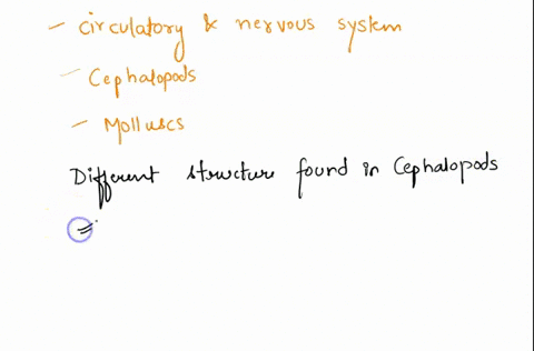 the-circulatory-and-nervous-system-of-cephalopods-differs-from-other-molluscs-explain-how-these-differences-facilitate-the-nutritional-strategy-of-cephalopods-57884