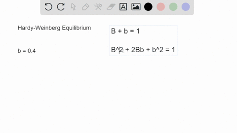 in-a-population-with-two-alleles-b-and-b-the-allele-frequency-of-b-is-04-b-is-dominant-to-b-what-is-38934