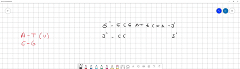 the-following-diagram-represents-dna-that-is-located-in-the-middle-part-of-the-rna-coding-sequence-of-a-transcription-unit-considering-the-identity-of-the-template-and-coding-strands-which-w-62402