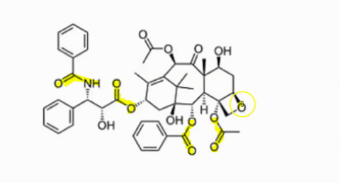 the-structure-of-taxol-a-potent-chemotherapeutic-is-shown-below-in-the-structure-there-are-ketones-and-aldehydes_-oh-oh-oh-a-ketone-aldehyde-b-ketone-0-aldehydes-c-6-ketones-0-aldehydes-d-5-56641