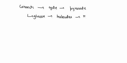 which-process-connects-glycolysis-and-the-citric-acid-cycle-91577