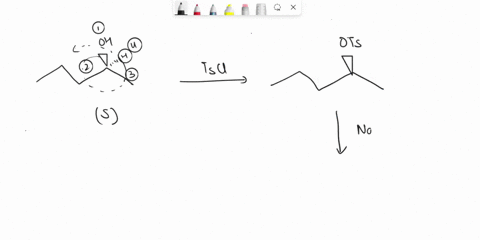 phenol-and-sodium-methoxide-bromobenzene-and-bromomethane-sodium-phenoxide-and-bromnomethane-question-15-what-is-the-major-organic-product-obtained-from-the-following-sequence-of-reactions-t-72216