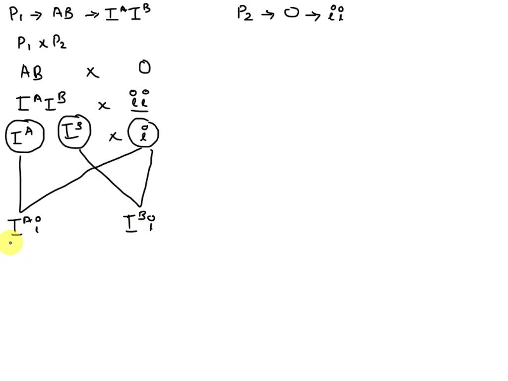 SOLVED: Two Parents Are Blood Phenotypes AB And O. If They Have Four ...