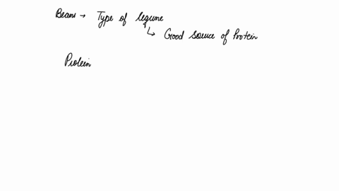 what-are-the-predominant-proteins-found-in-beans-19305