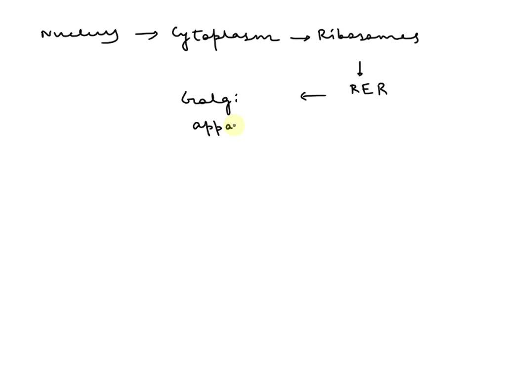 SOLVED Salivary amylase is the primary enzyme in saliva. Salivary